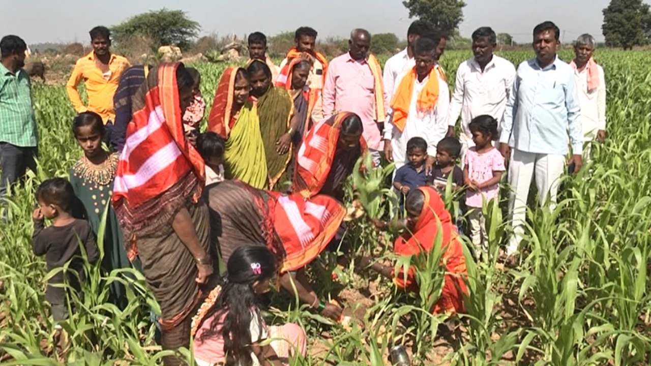 ಎಳ್ಳಮಾವಾಸ್ಯೆ ಉತ್ತರ ಕರ್ನಾಟಕ ಭಾಗದಲ್ಲಿ ಅತ್ಯಂತ ಫೇಮಸ್ ಹಬ್ಬ. ಪ್ರತಿಯೊಂದು ಹಬ್ಬ ಹರಿದಿನಗಳಲ್ಲಿ ದೇವಾಲಯಗಳಿಗೆ ಪೂಜೆ ಸಲ್ಲಿಸುತ್ತಾರೆ. ಆದರೆ ಎಳ್ಳಮಾವಾಸ್ಯೆ ದಿನ ರೈತಾಪಿ ವರ್ಗ ಭೂ ತಾಯಿಗೆ ಪೂಜೆ ಸಲ್ಲಿಸುತ್ತಾರೆ. ಸಿಹಿ ಖಾದ್ಯಗಳನ್ನ ಸಿದ್ಧಪಡಿಸಿಕೊಂಡು ಹೊಲಕ್ಕೆ ಹೋಗಿ ಚರಗ ಚೆಲ್ಲುವ ಮೂಲಕ ಭೂ ತಾಯಿಗೆ ನಮಿಸುತ್ತಾರೆ.
