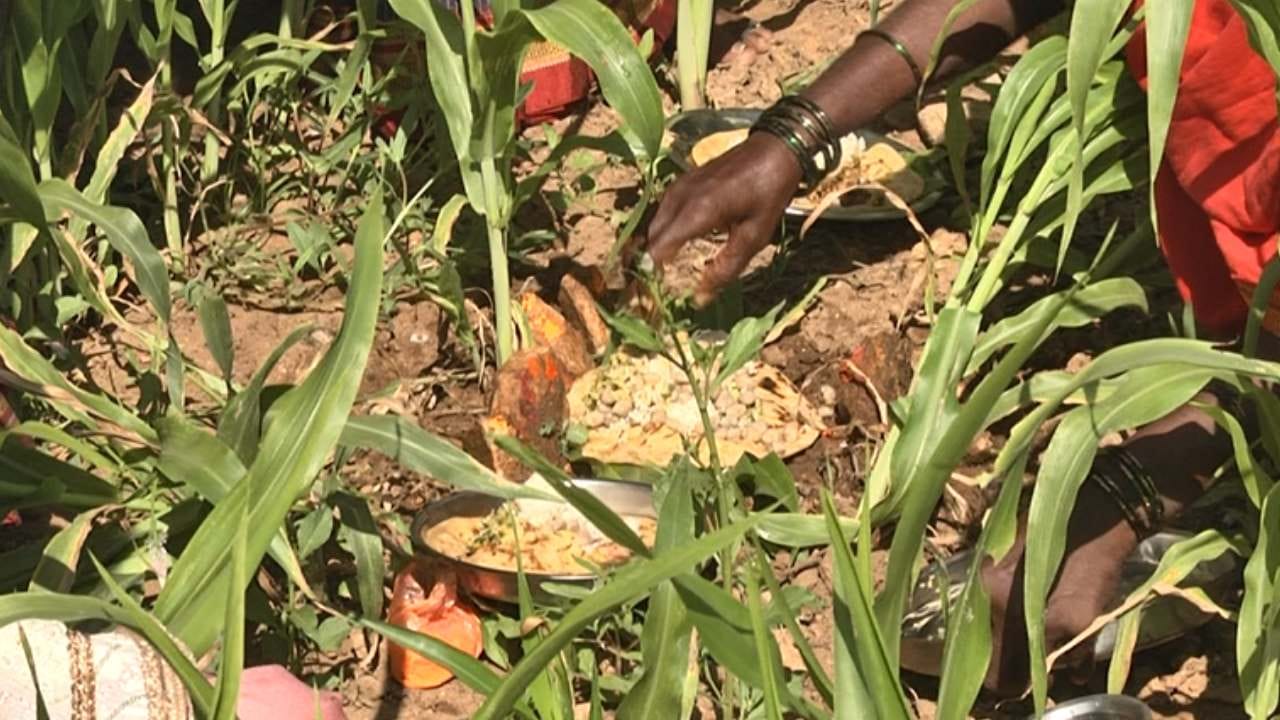 ಎಳ್ಳಮಾವಾಸ್ಯೆ ಕೃಷಿಕರ ಬಹು ದೊಡ್ಡ ಹಬ್ಬ. ಎಲ್ಲೆಡೆ ಸಮೃದ್ಧ ವೃದ್ಧಿಸಲಿ ಎಂದು ಅನ್ನ ನೀಡುವ ಭೂ ಮಾತೆಗೆ ಪೂಜೆಸಲ್ಲಿಸಿ ನೈವೇದ್ಯ ರೂಪದಲ್ಲಿ ಚರಗ ಚೆಲ್ಲುವ ಹಬ್ಬ. ಆಧುನಿಕತೆಯ ಭರಾಟೆಯಲ್ಲಿಯೂ ಗ್ರಾಮೀಣ ಸೊಗಡಿನ ಹಬ್ಬಗಳು ಅನ್ನದಾತರು ಮರೆತಿಲ್ಲ. ಇತ್ತ ಯಾದಗಿರಿ ತಾಲೂಕಿನ ಹೆಡಗಿಮುದ್ರ ಗ್ರಾಮದಲ್ಲಿ ಎಳ್ಳಮಾವಾಸ್ಯೆಯನ್ನು ಅದ್ಧೂರಿಯಾಗಿ ಆಚರಿಸಲಾಗಿದೆ.  
