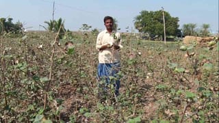 ಮನೆ, ಅಂಗಡಿ-ಮುಂಗಟ್ಟು ಆಯ್ತು: ಈಗ ರಾಯಚೂರಿನಲ್ಲಿ ಕಳ್ಳರಿಗೆ ಬಿಳಿ ಬಂಗಾರ ಟಾರ್ಗೆಟ್