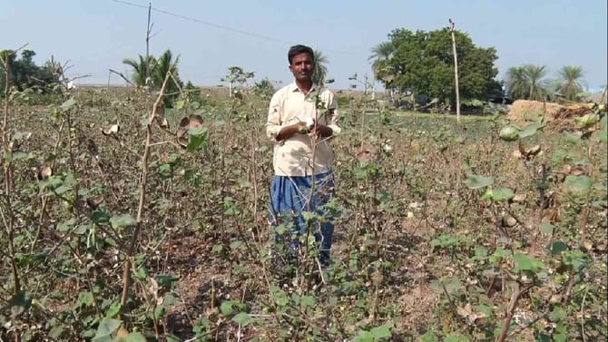 ಮನೆ, ಅಂಗಡಿ-ಮುಂಗಟ್ಟು ಆಯ್ತು: ಈಗ ಕಳ್ಳರಿಗೆ ಬಿಳಿ ಬಂಗಾರ ಟಾರ್ಗೆಟ್