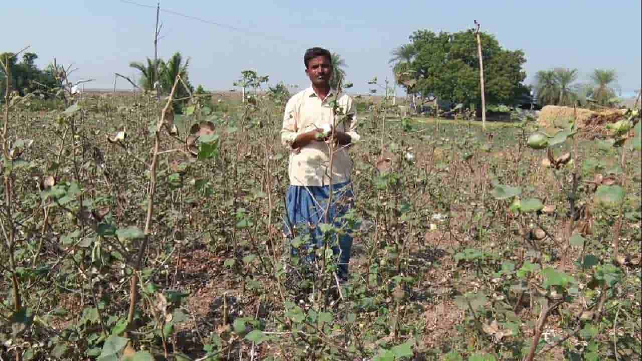 ಮನೆ, ಅಂಗಡಿ-ಮುಂಗಟ್ಟು ಆಯ್ತು: ಈಗ ರಾಯಚೂರಿನಲ್ಲಿ ಕಳ್ಳರಿಗೆ ಬಿಳಿ ಬಂಗಾರ ಟಾರ್ಗೆಟ್