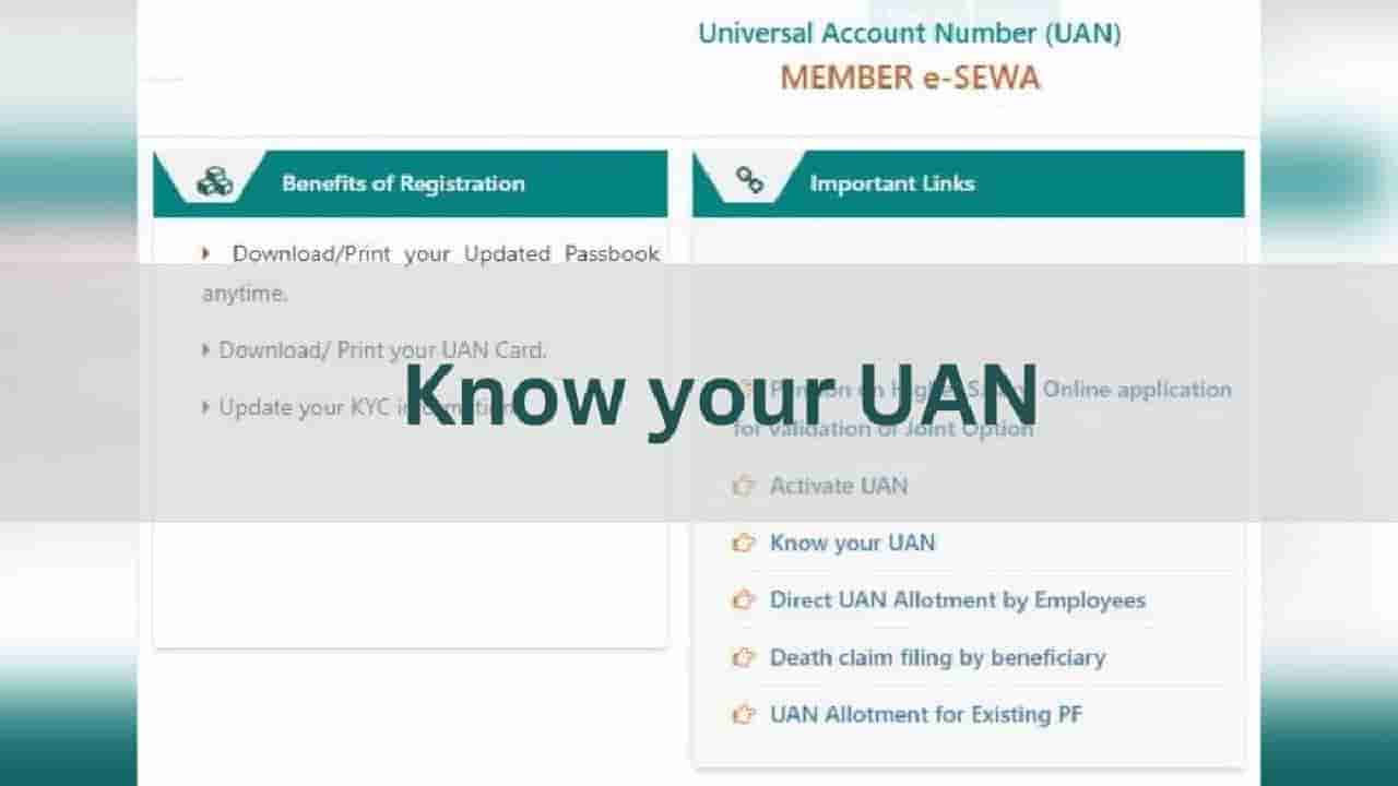 Forgot UAN: ನಿಮ್ಮ EPF UAN ಸಂಖ್ಯೆ ಮರೆತಿದ್ದೀರಾ? ಚಿಂತಿಸಬೇಡಿ, ಈ ರೀತಿ ಸುಲಭವಾಗಿ ಮರುಪಡೆಯಿರಿ