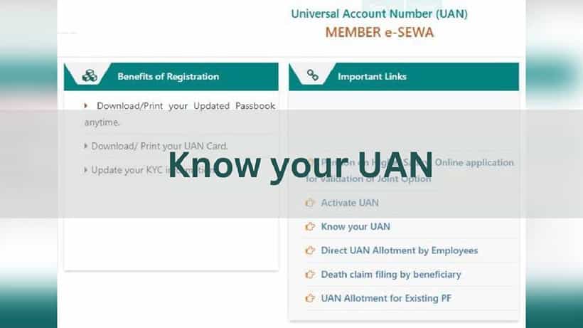 Forgot UAN: ನಿಮ್ಮ EPF UAN ಸಂಖ್ಯೆ ಮರೆತಿದ್ದೀರಾ? ಚಿಂತಿಸಬೇಡಿ, ಈ ರೀತಿ ಸುಲಭವಾಗಿ ಮರುಪಡೆಯಿರಿ