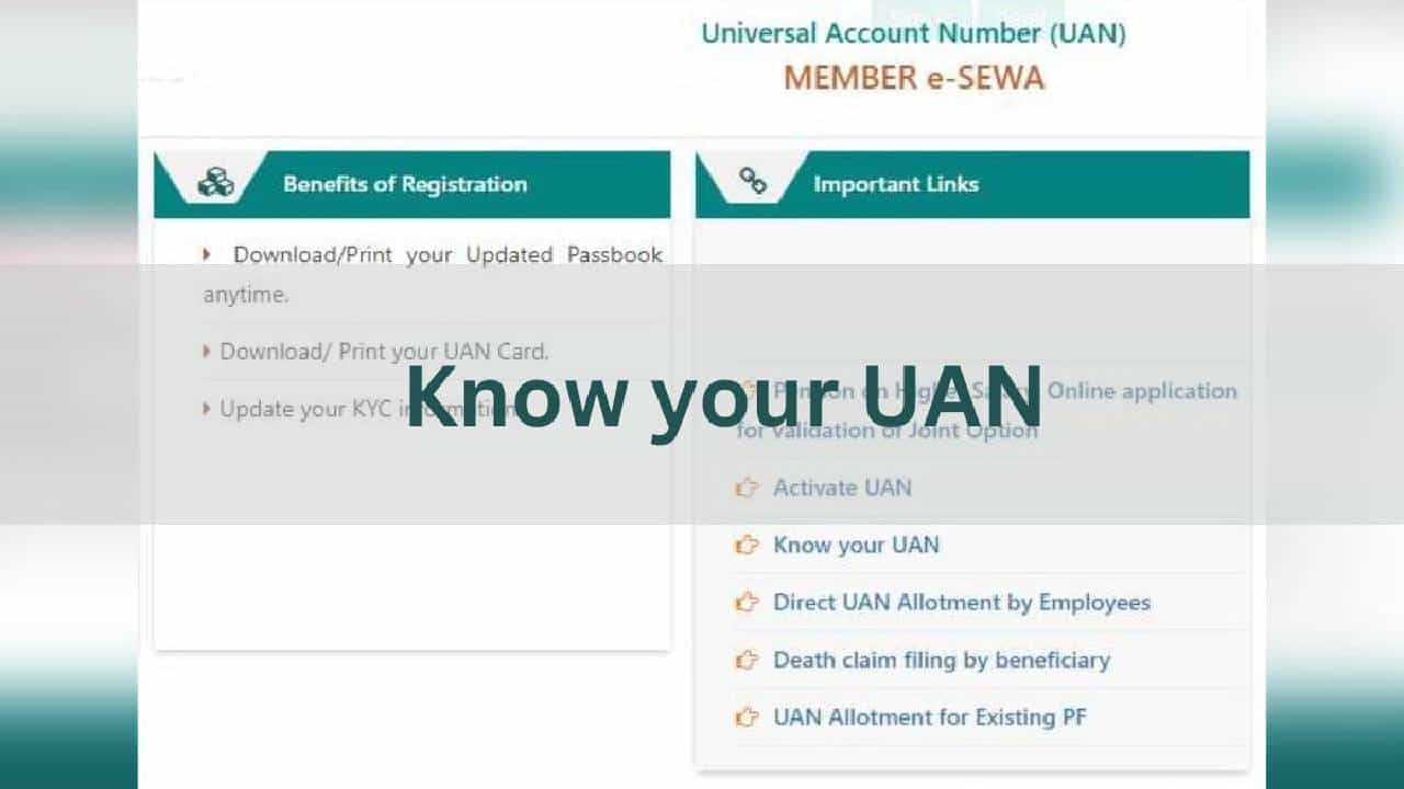 Forgot UAN: ನಿಮ್ಮ EPF UAN ಸಂಖ್ಯೆ ಮರೆತಿದ್ದೀರಾ? ಚಿಂತಿಸಬೇಡಿ, ಈ ರೀತಿ ಸುಲಭವಾಗಿ ಮರುಪಡೆಯಿರಿ Forgot UAN: ನಿಮ್ಮ EPF UAN ಸಂಖ್ಯೆ ಮರೆತಿದ್ದೀರಾ? ಚಿಂತಿಸಬೇಡಿ, ಈ ರೀತಿ ಸುಲಭವಾಗಿ ಮರುಪಡೆಯಿರಿ