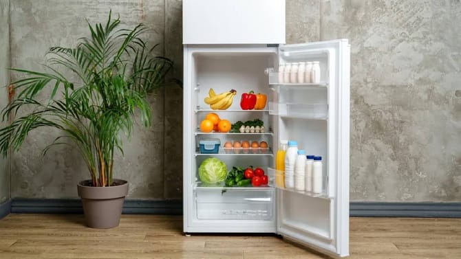 ವಾಸ್ತು ಪ್ರಕಾರ ಫ್ರಿಡ್ಜ್ ಮೇಲೆ ಈ ವಸ್ತುಗಳನ್ನು ಇಡಲೇಬಾರದು