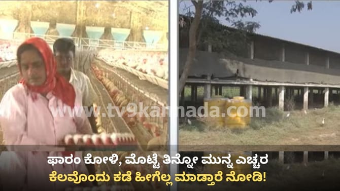 ಫಾರಂ ಕೋಳಿ, ಮೊಟ್ಟೆ ತಿನ್ನೋ ಮುನ್ನ ಎಚ್ಚರ: ಕೆಲವು ಕಡೆ ಹೀಗೆಲ್ಲ ಮಾಡ್ತಾರೆ!