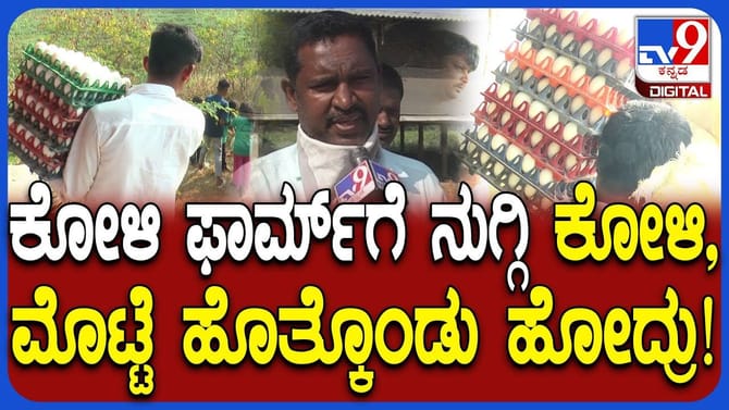 ವಾಸನೆ ಕುಡಿದು ಸಾಕಾಗಿ ಕೊನೆಗೆ ಫಾರಂನಲ್ಲಿದ್ದ ಕೋಳಿಗಳನ್ನೇ ಕದ್ದರು