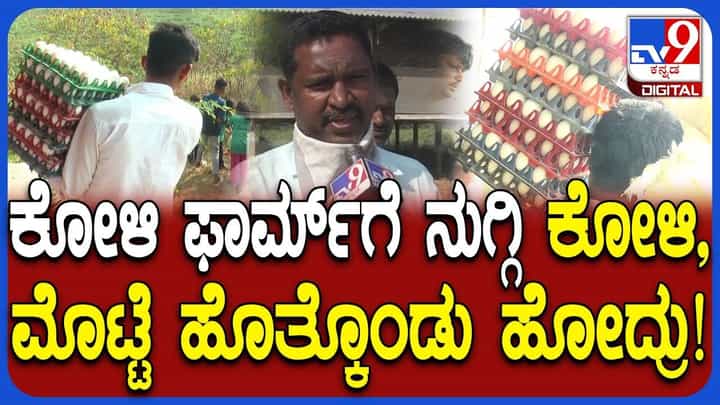 ಡಿಸಿ, ತಹಶೀಲ್ದಾರ್ ಡೋಂಟ್ ಕೇರ್: ವಾಸನೆ ಕುಡಿದು ಸಾಕಾಗಿ ಕೊನೆಗೆ ಫಾರಂನಲ್ಲಿದ್ದ ಕೋಳಿಗಳನ್ನೇ ಕದ್ದರು ಡಿಸಿ, ತಹಶೀಲ್ದಾರ್ ಡೋಂಟ್ ಕೇರ್: ವಾಸನೆ ಕುಡಿದು ಸಾಕಾಗಿ ಕೊನೆಗೆ ಫಾರಂನಲ್ಲಿದ್ದ ಕೋಳಿಗಳನ್ನೇ ಕದ್ದರು