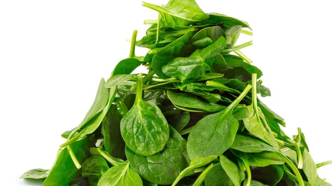 ವಿಟಮಿನ್ ಬಿ12 ಕೊರತೆ ಇದ್ದಲ್ಲಿ ಈ 4 ಸೊಪ್ಪುಗಳನ್ನು ತಪ್ಪದೆ ತಿನ್ನಿ!