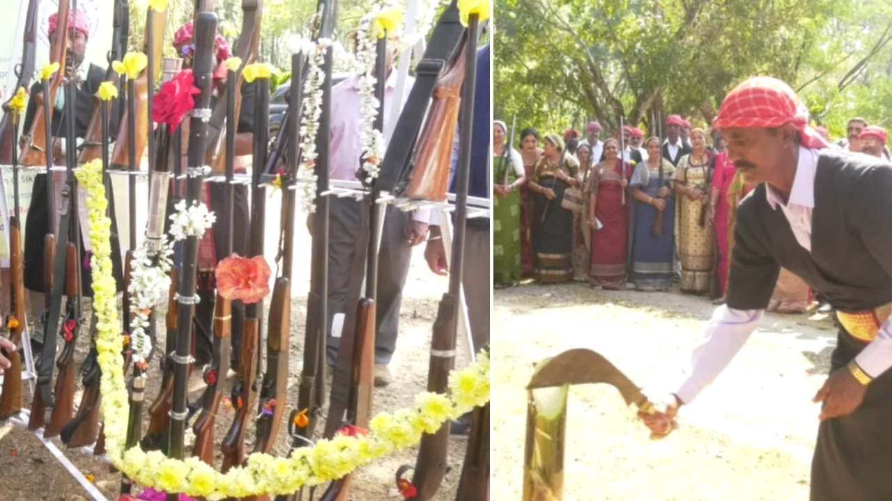 ಕೊಡವ ಸಾಂಪ್ರದಾಯಿಕ ಉಡುಪಿನಲ್ಲಿ ಆಗಮಿಸಿದ್ದ ಜನರು ತಮ್ಮ ವಿವಿಧ ಕೋವಿಗಳಿಗೆ ಪೂಜೆ ಸಲ್ಲಿಸಿದರು. ಬಳಿಕ ಕೊಡಗಿನ ಮದುವೆಗಳಲ್ಲಿ ಕಂಡು ಬರು ಸಾಂಪ್ರದಾಯಿಕ ಬಾಳೆ ಕಡಿಯುವ ಪದ್ಧತಿ ಆಚರಿಸಿ ಸಂಭ್ರಮಿಸಿದರು.