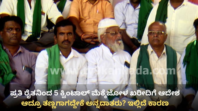 ಪ್ರತಿ ರೈತನಿಂದ 5 ಕ್ವಿಂಟಲ್ ಮೆಕ್ಕೆಜೋಳ ಖರೀದಿಗೆ ಆದೇಶ: ನಿಲ್ಲದ ಪ್ರತಿಭಟನೆ