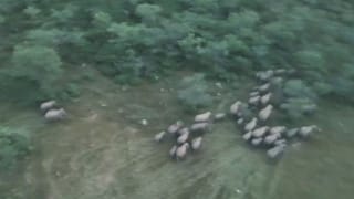 NHMನಲ್ಲಿ 30000 ಹುದ್ದೆಗಳ ಮರು ನೇಮಕಾತಿ ಬಗ್ಗೆ ಸಚಿವ ದಿನೇಶ್ ಹೇಳಿದ್ದೇನು?