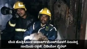ಬೆಂಕಿ ಹೊತ್ತಿಕೊಂಡ ಅಪಾರ್ಟ್​​ಮೆಂಟ್​​ನೊಳಗೆ ಸಿಲುಕಿದ್ದ ನಾಯಿಯ ರಕ್ಷಣೆ