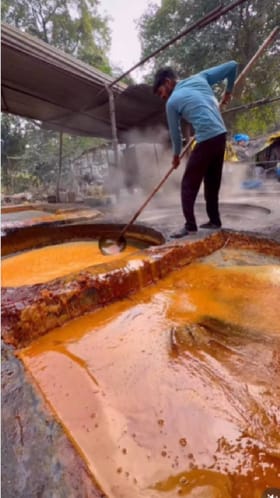 ಇಲ್ಲಿ ಬೆಲ್ಲ ಹೇಗೆ ತಯಾರು ಮಾಡುತ್ತಾರೆ ನೋಡಿ