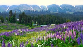 ಹೊಸ ವರ್ಷಕ್ಕೆ ಜಮ್ಮು-ಕಾಶ್ಮೀರದಲ್ಲಿ ಕಟ್ಟೆಚ್ಚರ