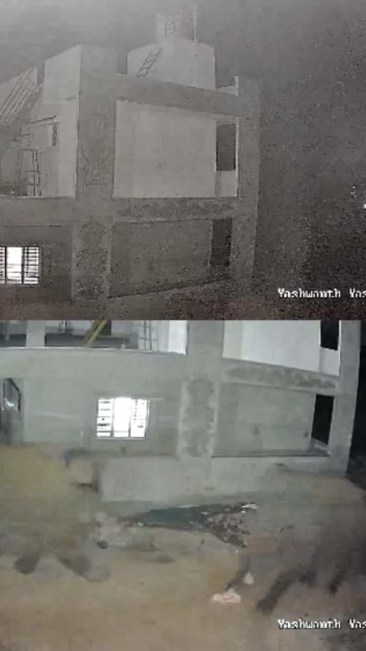 ಮನೆ ಬಳಿಯೇ ಕಾಡಾನೆಗಳ ಓಡಾಟ