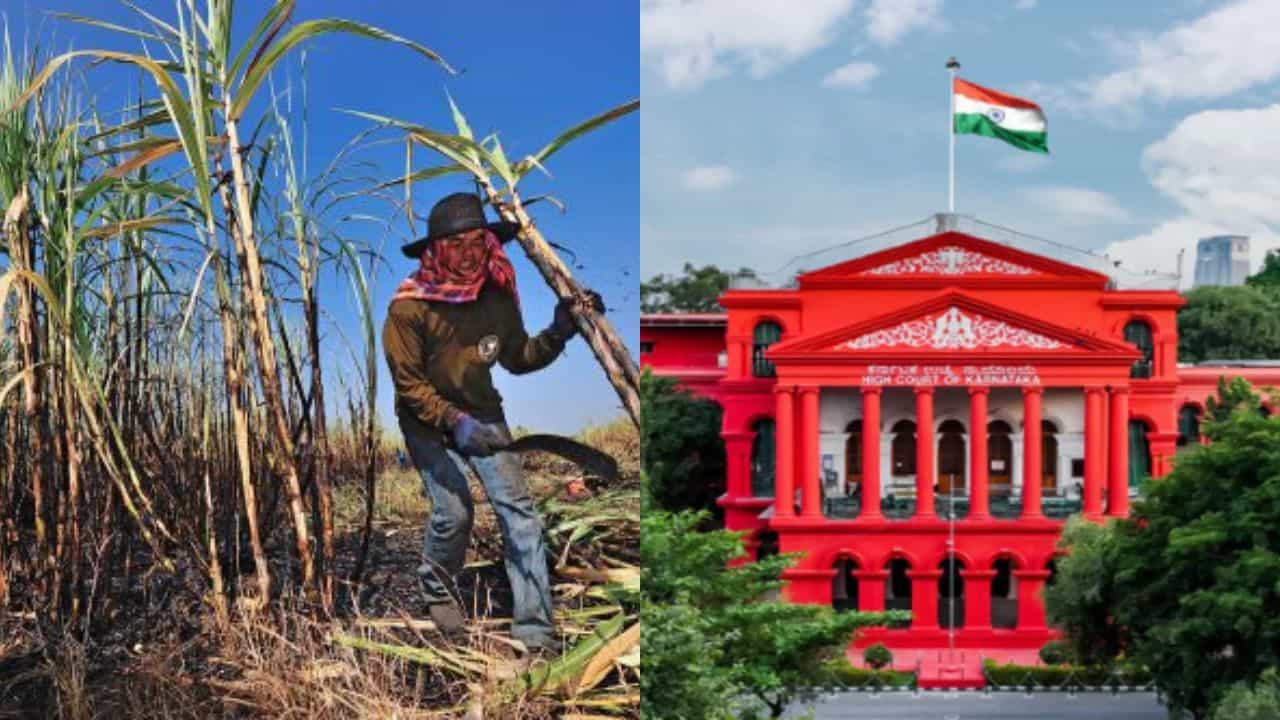 ಕಬ್ಬಿಗೆ ದರ ನಿಗದಿ ನಿರ್ಧಾರ ಪ್ರಶ್ನಿಸಿ ರಿಟ್ ಅರ್ಜಿ: ಸರ್ಕಾರಕ್ಕೆ ಹೈಕೋರ್ಟ್ ನೋಟಿಸ್ ಕಬ್ಬಿಗೆ ದರ ನಿಗದಿ ನಿರ್ಧಾರ ಪ್ರಶ್ನಿಸಿ ರಿಟ್ ಅರ್ಜಿ: ಸರ್ಕಾರಕ್ಕೆ ಹೈಕೋರ್ಟ್ ನೋಟಿಸ್