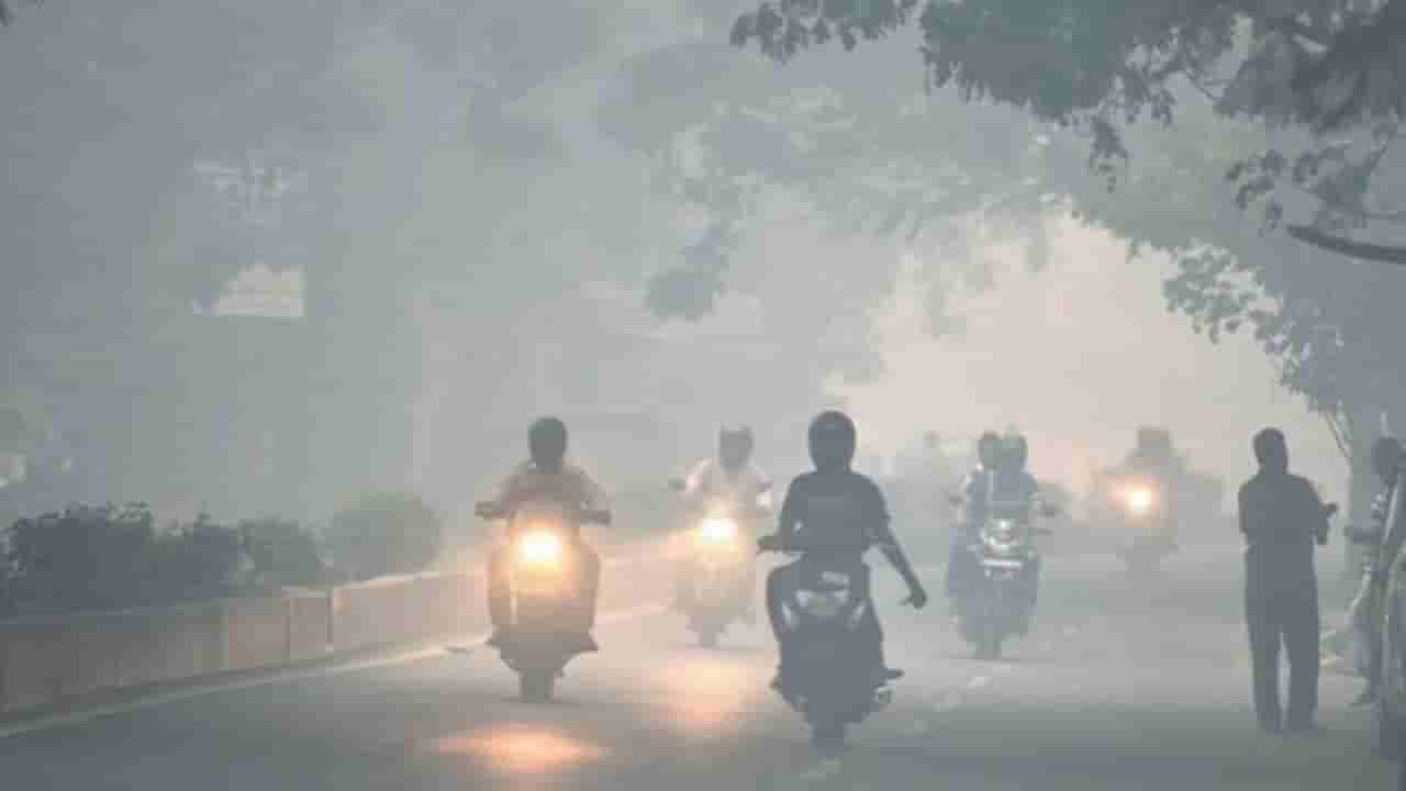 ನಾಳೆಯ ಹವಾಮಾನ: ಚಳಿಗೆ ತತ್ತರಿಸಲಿದೆ ಕರ್ನಾಟಕದ ಉತ್ತರ; ಬೆಂಗಳೂರಲ್ಲೂ ಶೀತ ಗಾಳಿಯ ಅಬ್ಬರ