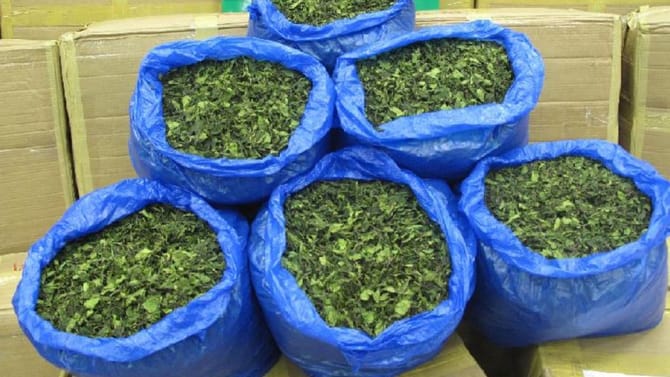 ಅಂತಾರಾಷ್ಟ್ರೀಯ ಜಾಲಕ್ಕೆ ಶಾಕ್​​: 8 ಕೋಟಿ ಮೌಲ್ಯದ ಡ್ರಗ್ಸ್​​ ಸೀಜ್​