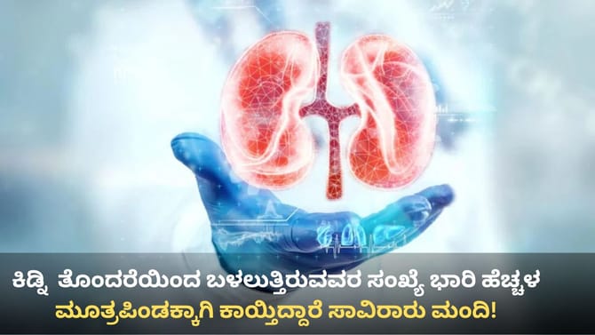 ಕರ್ನಾಟಕದಲ್ಲಿ ಮೂತ್ರಪಿಂಡಕ್ಕೆ ಹೆಚ್ಚಿದ ಬೇಡಿಕೆ, ಆಘಾತಕಾರಿ ಅಂಕಿಅಂಶ ಬಯಲು