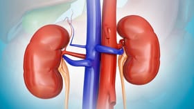 ಈ ಪಾನೀಯ ಮದ್ಯಕ್ಕಿಂತ ಅಪಾಯಕಾರಿ ಕುಡಿದರೆ ಕಿಡ್ನಿ ಹಾಳಾಗುತ್ತೆ!