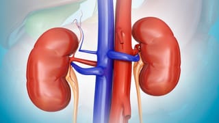 ಯೂರಿಕ್ ಆ್ಯಸಿಡ್​ನಿಂದ ಕೀಲು ನೋವಾಗುತ್ತಿರಬಹುದು; ಈ 4 ಯೋಗಾಸನಗಳಿಂದ ಸಿಗುತ್ತೆ ಪರಿಹಾರ