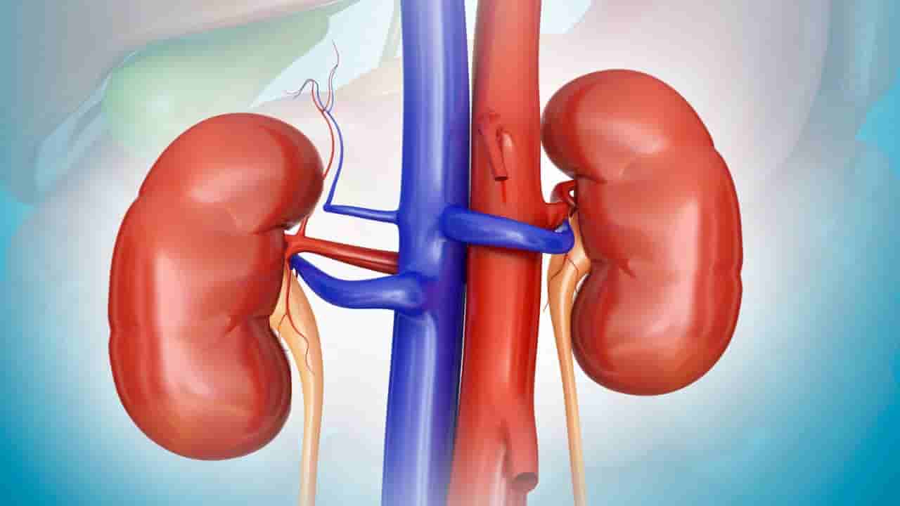 ವೈದ್ಯರ ಪ್ರಕಾರ ಈ ಪಾನೀಯ ಮದ್ಯಕ್ಕಿಂತ ಅಪಾಯಕಾರಿ! ಕುಡಿದರೆ ನಿಮ್ಮ ಕಿಡ್ನಿ ಡಮಾರ್