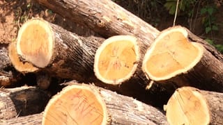 ನಾಳೆಯ ಹವಾಮಾನ: ರಾಜ್ಯದ ಹಲವೆಡೆ ಚಳಿ, ಇರಲಿದೆ ಮಂಜಿನ ಅಬ್ಬರ