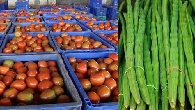 ಟೊಮ್ಯಾಟೋಗೆ ಫುಲ್​ ಡಿಮ್ಯಾಂಡ್​​: ದುಡ್ಡು ಕೊಟ್ರೂ ಸಿಗ್ತಿಲ್ಲ ನುಗ್ಗೇಕಾಯಿ!