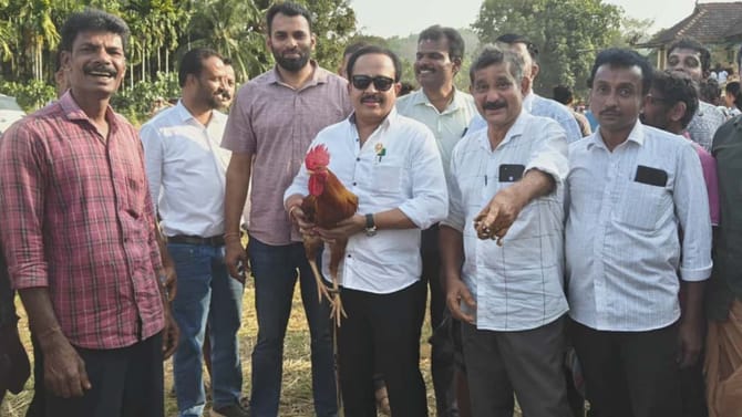 ತಾವೇ ಮುಂದೆ ನಿಂತು ಕೋಳಿ‌ ಅಂಕ ಮಾಡಿಸಿದ ಕಾಂಗ್ರೆಸ್​ ಶಾಸಕ