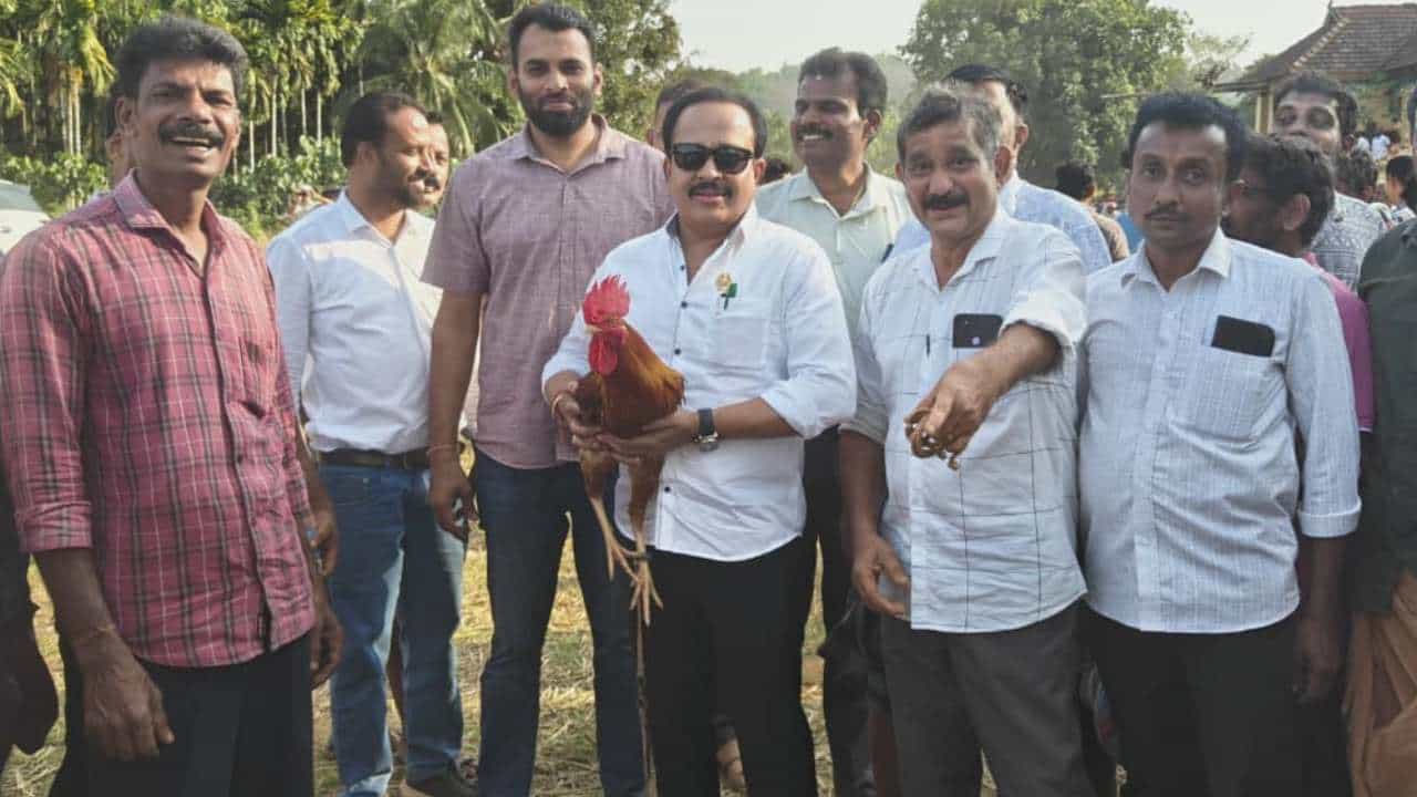 ಕೋಳಿ‌ ಕಾಳಗಕ್ಕೆ ಪೊಲೀಸ ‌ನಿರ್ಬಂಧ: ತಾವೇ ಮುಂದೆ ನಿಂತು ಕೋಳಿ‌ ಅಂಕ ಮಾಡಿಸಿದ ಕಾಂಗ್ರೆಸ್​ ಶಾಸಕ