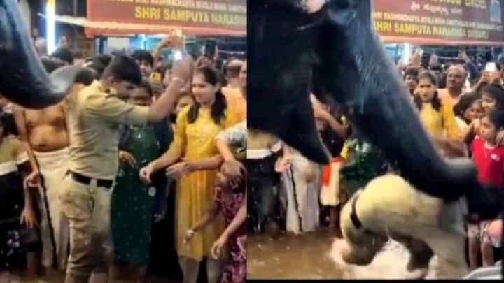 ನೀರಿನಲ್ಲಿ ಭಕ್ತರೊಂದಿಗೆ ಆಟವಾಡುತ್ತಿರುವಾಗ ಅಡ್ಡಬಂದ ಸಿಬ್ಬಂದಿಯನ್ನ ಸೊಂಡಿಲಿನಿಂದ ಎತ್ತಿ ಬಿಸಾಡಿದ ಆನೆ ನೀರಿನಲ್ಲಿ ಭಕ್ತರೊಂದಿಗೆ ಆಟವಾಡುತ್ತಿರುವಾಗ ಅಡ್ಡಬಂದ ಸಿಬ್ಬಂದಿಯನ್ನ ಸೊಂಡಿಲಿನಿಂದ ಎತ್ತಿ ಬಿಸಾಡಿದ ಆನೆ