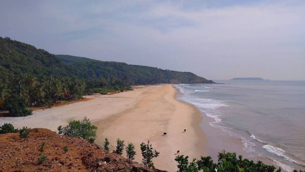 ಕುಮಟಾವು ಅರಬ್ಬರು, ಡಚ್, ಪೋರ್ಚುಗೀಸ್ ಮತ್ತು ಬ್ರಿಟಿಷರ ಕಾಲದಿಂದಲೂ ಒಂದು ಪ್ರಮುಖ ಸಮುದ್ರ ವ್ಯಾಪಾರ ಕೇಂದ್ರವಾಗಿತ್ತು. ವಿಶ್ವವಿಖ್ಯಾತ ಕವಿ ರವೀಂದ್ರನಾಥ ಟ್ಯಾಗೋರ್ ಅವರು ಕೂಡ 1882ರಲ್ಲಿ ಕುಮಟಾಕ್ಕೆ ಭೇಟಿ ನೀಡಿದ್ದರು. ಈ ಬಗ್ಗೆ ತಮ್ಮ ಆತ್ಮಚರಿತ್ರೆಯಲ್ಲಿ ಅವರೇ ಉಲ್ಲೇಖಿಸಿದ್ದಾರೆ. ನಗರದ ಕುಶಲಕರ್ಮಿಗಳು ತಯಾರಿಸುವ ಶ್ರೀಗಂಧದ ಕೆತ್ತನೆಗಳು ಕೂಡ ಜಗತ್ಪ್ರಸಿದ್ಧವಾಗಿವೆ.