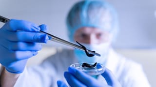 ಜಿಗಣೆಯಿಂದ ಕಚ್ಚಿಸಿಕೊಳ್ಳುವುದರಿಂದ ಕ್ಯಾನ್ಸರ್ ಅನ್ನು ಗುಣಪಡಿಸಬಹುದೇ? ಇಲ್ಲಿದೆ ತಜ್ಞರ ಅಭಿಪ್ರಾಯ