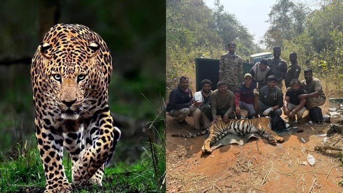 ಪೊಲೀಸರ ಕಣ್ಣಿಗೆ ಬಿದ್ದ ಚಿರತೆ, ಗ್ರಾಮಸ್ಥರಲ್ಲಿ ಆತಂಕ