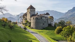 Patanjali Shares: ದೊಡ್ಡ ದೊಡ್ಡ ಕಂಪನಿಗಳಿಗಿಂತ ಹೆಚ್ಚು ಲಾಭ ತಂದುಕೊಟ್ಟಿರುವ ಪತಂಜಲಿ ಫುಡ್ಸ್ ಷೇರು