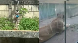 ಡಿಕೆ ಶಿವಕುಮಾರ್ ಜೊತೆಗೆ ನಾಟಿಕೋಳಿ ಸಾರು, ಬಿಸಿ ಬಿಸಿ ಇಡ್ಲಿ ಸವಿಯುತ್ತಿರುವ ಸಿಎಂ ಸಿದ್ದರಾಮಯ್ಯ