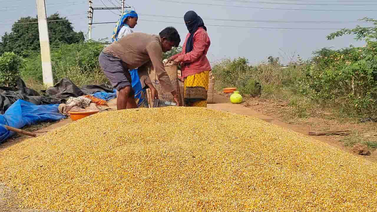 ಬೆಳಗಾವಿ ಅಧಿವೇಶನಕ್ಕೂ ಮುನ್ನ ರೈತರಿಗೆ ಗುಡ್ ನ್ಯೂಸ್ ಕೊಟ್ಟ ರಾಜ್ಯ ಸರ್ಕಾರ