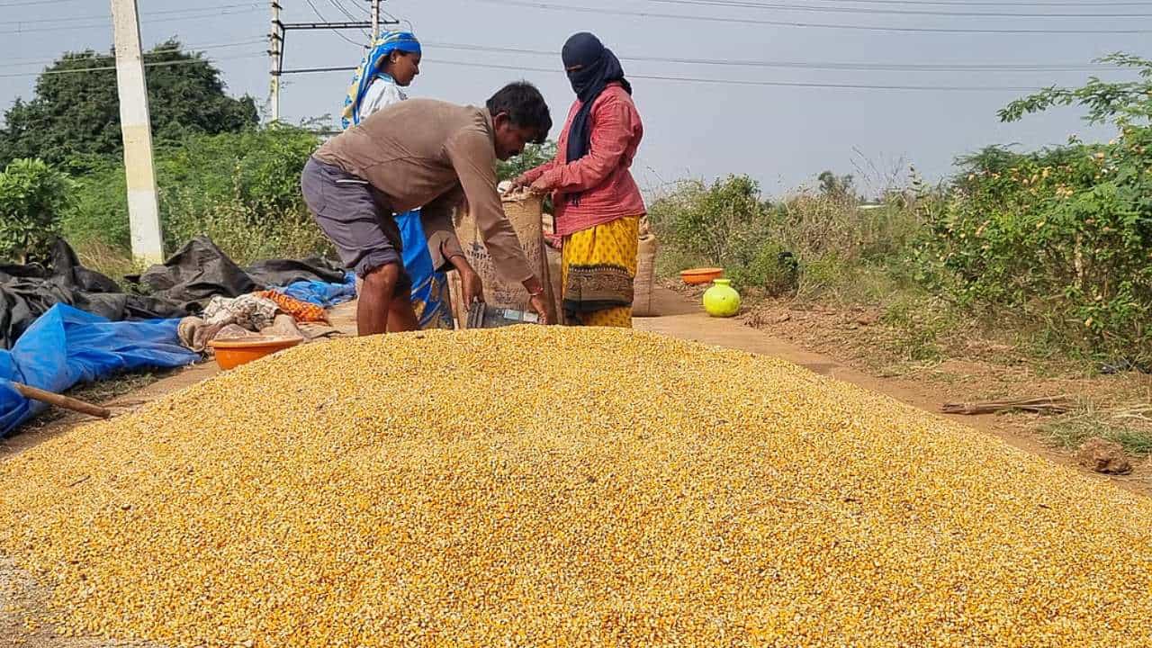 ಬೆಳಗಾವಿ ಅಧಿವೇಶನಕ್ಕೂ ಮುನ್ನ ರೈತರಿಗೆ ಗುಡ್ ನ್ಯೂಸ್ ಕೊಟ್ಟ ರಾಜ್ಯ ಸರ್ಕಾರ