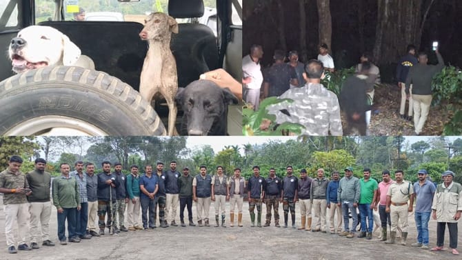 ಕಾಫಿ ತೋಟದಲ್ಲಿ ಮಗು ನಾಪತ್ತೆ: 2 ವರ್ಷದ ಕಂದಮ್ಮನನ್ನು ಹುಡುಕಿದ್ದು ಶ್ವಾನ!