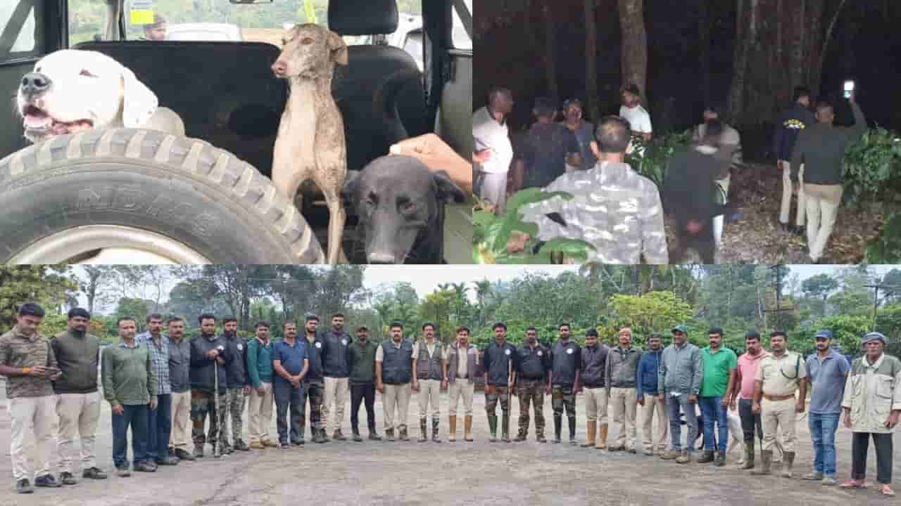 Kodagu: ಕಾಫಿ ತೋಟದಲ್ಲಿ ಮಗು ನಾಪತ್ತೆ; 2 ವರ್ಷದ ಕಂದಮ್ಮನನ್ನು ಹುಡುಕಿದ್ದು ಶ್ವಾನ!