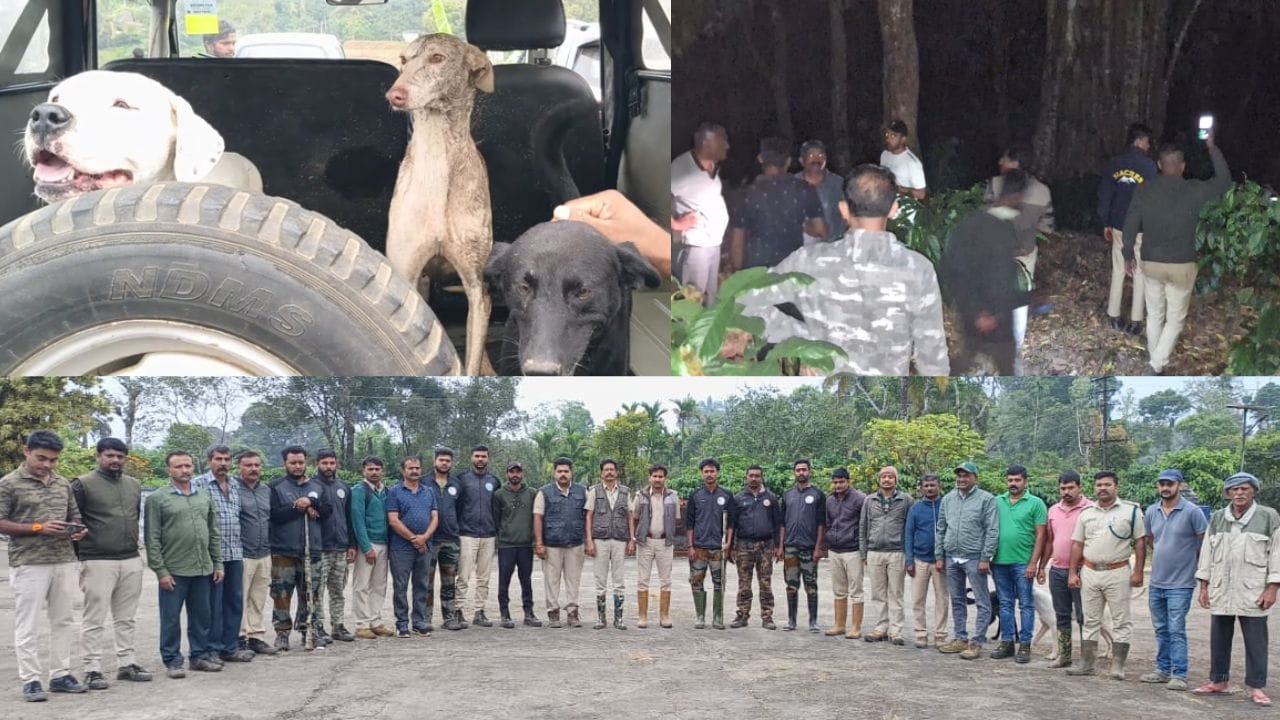 Kodagu: ಕಾಫಿ ತೋಟದಲ್ಲಿ ಮಗು ನಾಪತ್ತೆ; 2 ವರ್ಷದ ಕಂದಮ್ಮನನ್ನು ಹುಡುಕಿದ್ದು ಶ್ವಾನ!