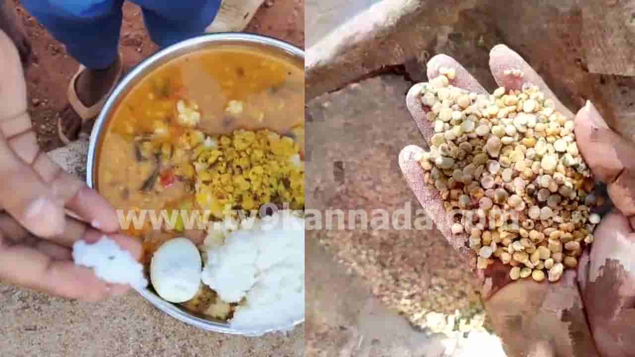 ಮಧ್ಯಾಹ್ನದ ಬಿಸಿಯೂಟದ ತುಂಬ ಹುಳಗಳ ರಾಶಿ! ಪೋಷಕರು ಕೆಂಡಾಮಂಡಲ