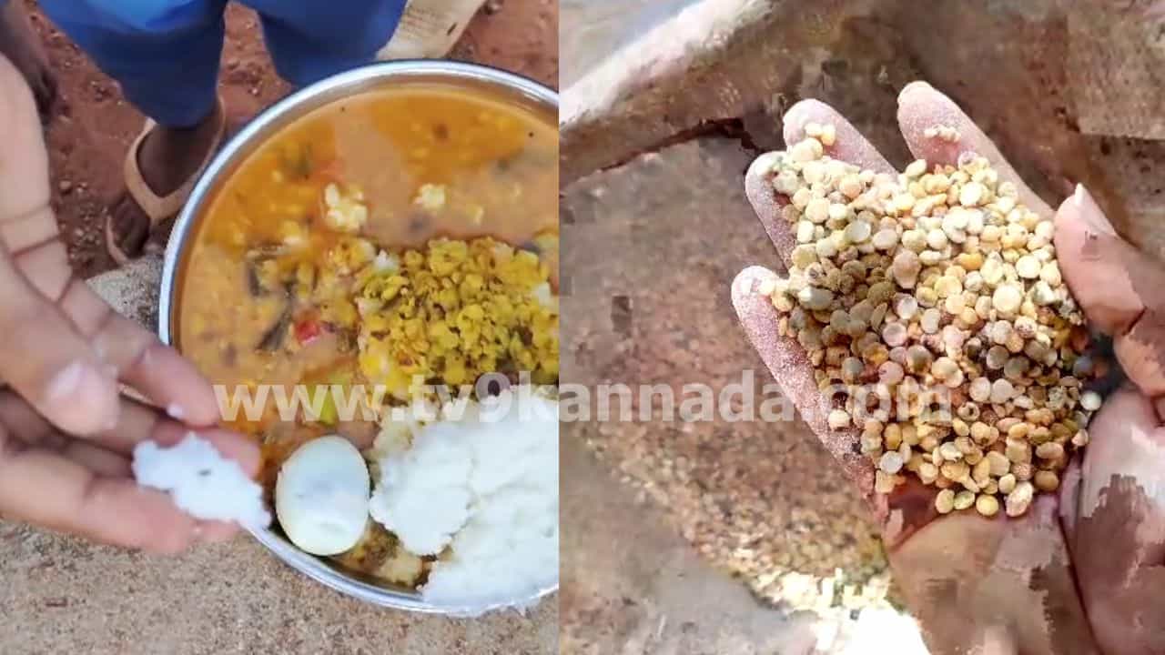 ಮಧ್ಯಾಹ್ನದ ಬಿಸಿಯೂಟದ ತುಂಬ ಹುಳಗಳ ರಾಶಿ! ಪೋಷಕರು ಕೆಂಡಾಮಂಡಲ ಮಧ್ಯಾಹ್ನದ ಬಿಸಿಯೂಟದ ತುಂಬ ಹುಳಗಳ ರಾಶಿ! ಪೋಷಕರು ಕೆಂಡಾಮಂಡಲ