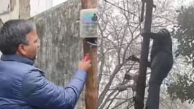 ಪವರ್​​ ಅಧಿಕಾರಿಗಳಿಗೆ ಶಾಕ್​​ ಕೊಟ್ಟ ಶಾಸಕ