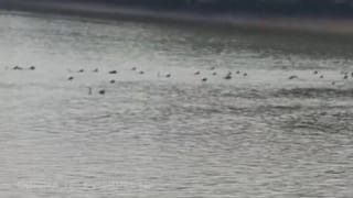 ಬೆಂಗಳೂರು: ಕತ್ರಿಗುಪ್ಪೆಯಲ್ಲಿ ಗ್ಯಾಂಗ್​ ವಾರ್, ಲಾಂಗು ಮಚ್ಚಿನ ಹೊಡೆತಕ್ಕೆ ಕಾರು ಪೀಸ್ ಪೀಸ್