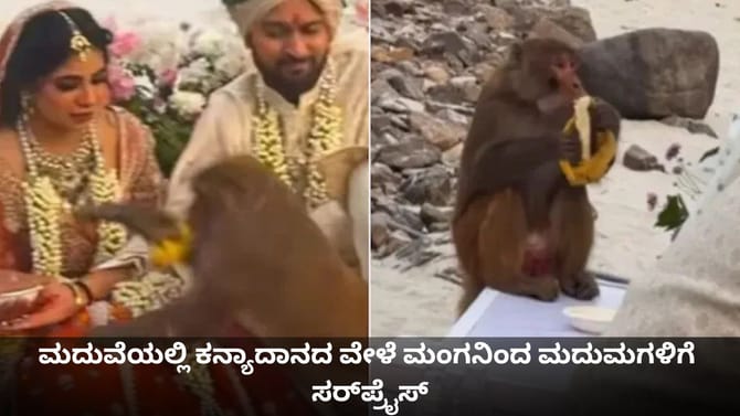 ಮದುವೆಯಲ್ಲಿ ಕನ್ಯಾದಾನದ ವೇಳೆ ಮಂಗನಿಂದ ಮದುಮಗಳಿಗೆ ಶಾಕ್