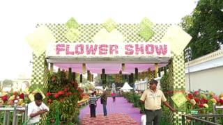 ಹೊಸ ವರ್ಷದ ಅಂಗವಾಗಿ ಅರಮನೆ ಅಂಗಳದಲ್ಲಿ ಹೂವೇ ಹೂವು; ವೀಕೆಂಡ್​ಗೆ ಮೈಸೂರಿಗೆ ಹೋಗೋರು ಈ ಫ್ಲವರ್ ಶೋ ನೋಡಲೇ ಬೇಕು!