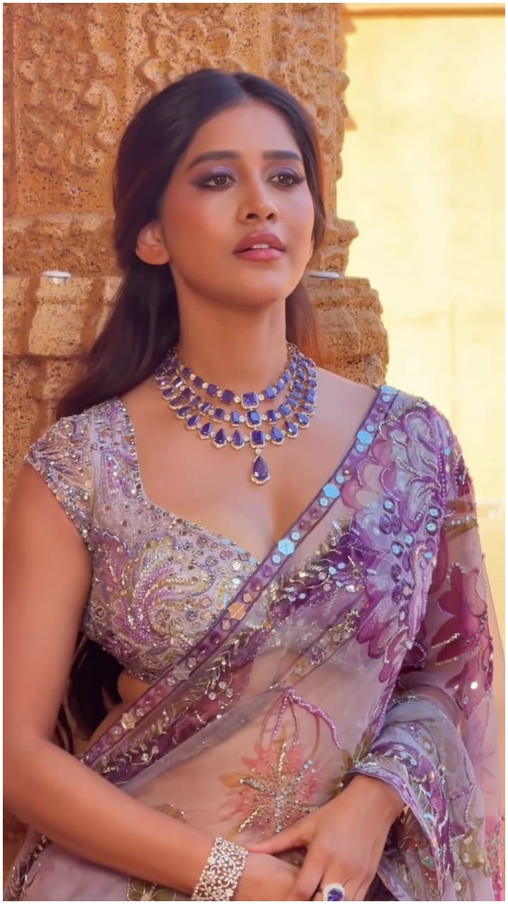 ಗಮನ ಸೆಳೆದ ನಭಾ ನಟೇಶ್ ಲುಕ್