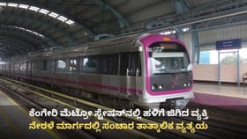 ಮೆಟ್ರೋ ಹಳಿಗೆ ಜಿಗಿದು ವ್ಯಕ್ತಿ ಆತ್ಮಹತ್ಯೆ, ನೇರಳೆ ಮಾರ್ಗ ಸಂಚಾರ ವ್ಯತ್ಯಯ